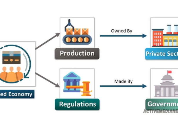 Is the United States a Market Economy or a Mixed Economy