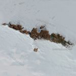 A research station on the Antarctic ice sheet