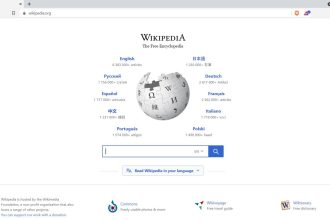 user adjusting privacy and security settings in web browser
